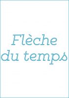 FLECHE TEMPS